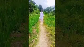In the village of Bahrain Drolai,greenery is everywhere, #villagelife #village #everyone #viralvideo