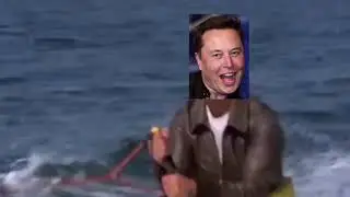 #DOGE #BTC Elon Musk Jumped the CRYPTO SHARK - #GotSilver