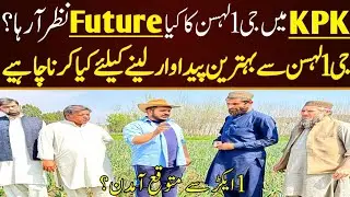 g1 garlic future| how to sell g1 garlic| g1 garlic seed rate