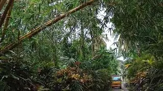 Kottayam to Aymanam