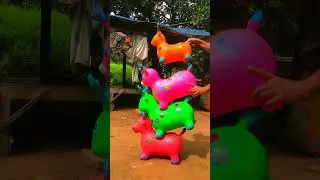 Short Goat Colors 🌻🌻🌻 #shortvideo