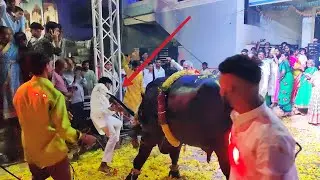 Swapna yadav Sadar bull got angry 😡 | Sadar festival in hyderabad 2022 | swapna yadav sadar sayyata