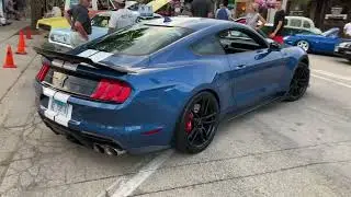 2020 GT500 Shelby Performance Base