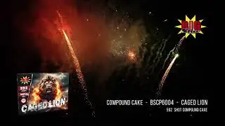 Big Star Fireworks - Compound Cake - BSCP6004 - Caged Lion