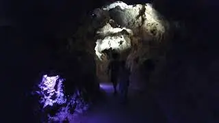 Cayman Nature Experience