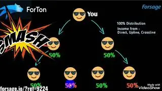 MAKE MORE THAN 1000$ EVERYDAY WITH FORTON  (FORSAGE OF TON NETWORK)