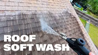 Soft Washing a Shingle Roof | Why Pressure Washing Should Never Be Used on Roofs