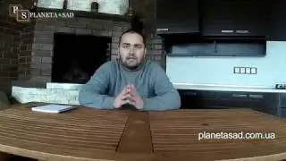 Борьба с сорняками на газоне.Диален