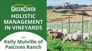 Holistic Management in Vineyards with Kelly Mulville of Paicines Ranch