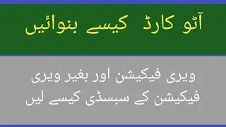 dap subsidy auto payment || dap auto card || dap verification || dap budget || auto subsidy
