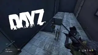 Airfield Massacre! DayZ Ps4.