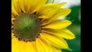 Poetry: Speak Kindly, Kate Slaughter McKinney