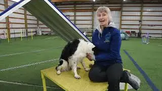 Agility Dog Health Network