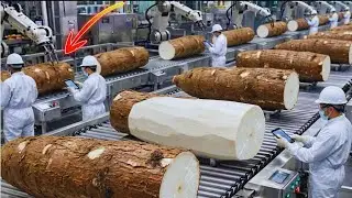 Inside the 1,000,000 LB Cassava Plant 🌱 | Massive Industrial Processing Line (Full Process)