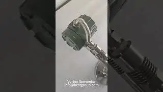 BCST Vortex flowmeter