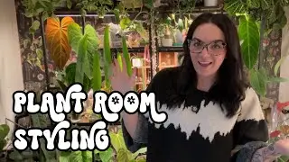 Welcome To My Plant Room! 🌿 Style My Mini Plant Shelves With Me 🪴