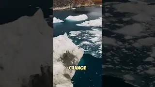Climate change driven storm surge events.