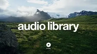 Terminal D &ndash; Silent Partner (No Copyright Music)