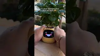 Self-Watering Planter 🌱 | No More Dead Plants 💧 | Smart Pot #SelfWateringPlanter #PlantLovers