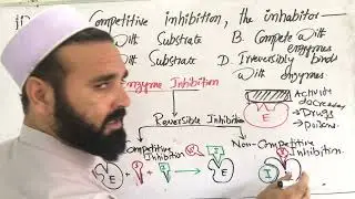 Nmdcat&rsquo;s past papers Paper#2024||MCQS#112||Enzymes Inhibition, Competitive Inhibition, substrate etc
