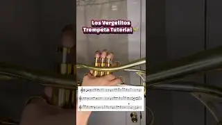 Los Vergelitos🎺 #bandasinaloense #trompeta #tutorial #musica #banda #corridos #rancheras #mexico
