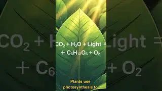 Изучите основные научные понятия, чтобы понять, как устроен мир. #scicom #scienceonline #sciencechat