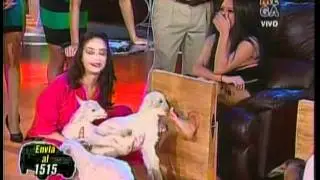 Angie Alvarado - Cabrita le chupa los pies desnudos 26-08-2011.mpg