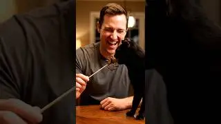 #ai #funny #catvideos #cat #catfunny #comedy #funnycatvideos #memes #catfood #review #catreview