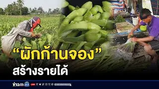 ปลูก “ผักก้านจอง” ขายสร้างรายได้ l ตลาดข่าว - ข่าวเช้าเวิร์คพอยท์ l 19 ก.ย.67