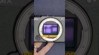 Compare Full Frame vs Crop Sensor 📷 | Camera Sensor Size Explained for Filmmakers & Photographers