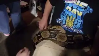 Calgary Pet Expo 2016: Boa Constrictor Relaxes around a Boy