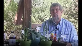 Food For Thought, Lecture 1 - Gary Nabhan: Prehistoric Menus Are New Again
