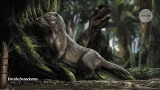 Fast and Furry: The Earliest Evolution of Mammals