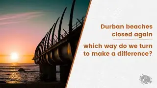 Durban beaches closed again - which way do we turn to make a difference?