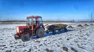 Вивозимо органічне добриво поки тримається мороз! Трактор Т25!