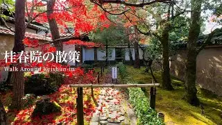 京都 侘び寂びの庭園 桂春院の散策 4K | Wabi-Sabi Walk Around Keishun-in Kyoto Japan ASMR 4K