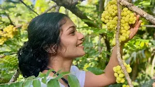 Preserving and enjoying seasonal fruits 