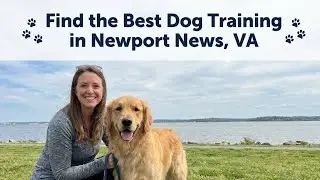 Find the Best Dog Training in Newport News Virginia