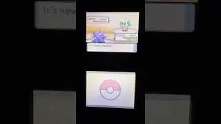 Pokemon Diamond Pearl Battle Tower 126th win