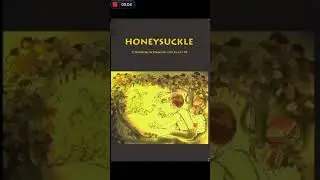Class VI ENGLISH - WHO DID PATRICK'S HOMEWORK ? By Carol Moore