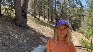 Children's Forest Exploration Trail Hike in Running Springs California