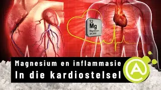 Inflammasie Reeks (Potgooi 1): Magnesium en inflammasie in die kardiostelsel