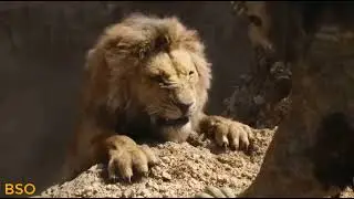 the little mer lioness 2023 mufasa death style