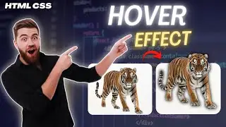 Create a Zoom In Hover Effect Using HTML and CSS 👨‍💻 👍