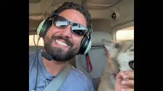 Dog rescue flight !