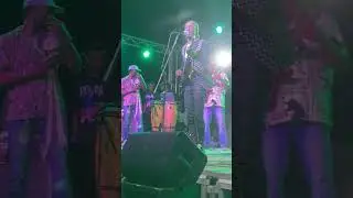 FESPAM 2025 - Mayanga  #ParfaitYoung #livemusic #musiquecongolaise