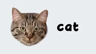 Teach Your Cat To Read - Important Cat Related Words!