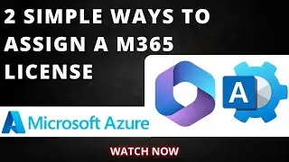 Microsoft 365 - 2 Simple ways to Assign a License | VirtualTechBytes