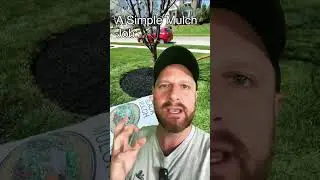 🤩 Watch This Man Transform His Lawn with Mulch!