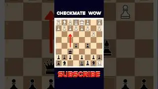 wow Checkmate in 5 Moves 😱♟ Fastest Checkmate #chess #Checkmate #chesstricks